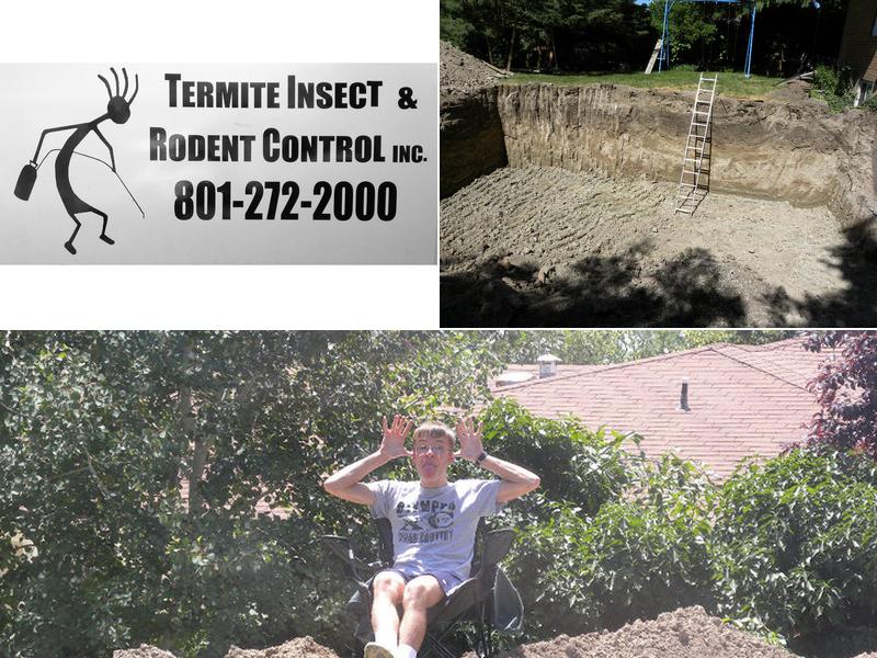 Termite Insect-Rodent Control