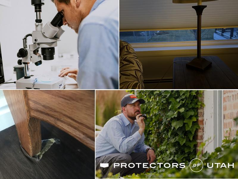 Thorn Pest Solutions Pleasant Grove