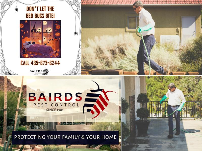 Bairds Pest Control