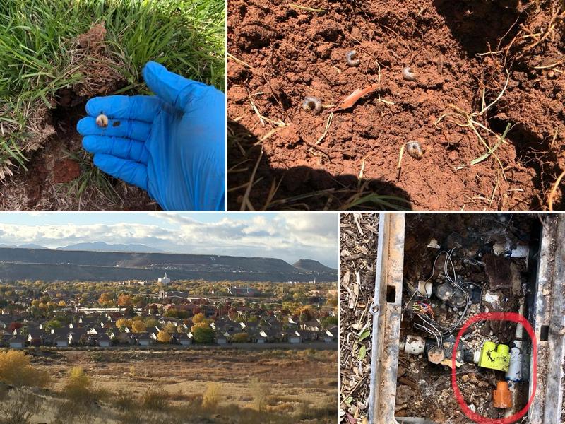 HomeGuard Pest Control