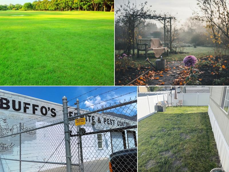 Buffo's Termite & Pest Control