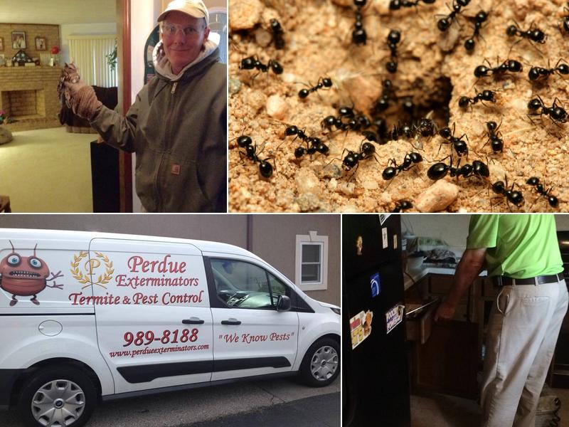 Perdue Exterminators