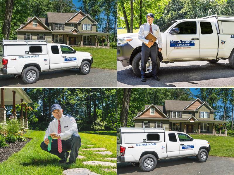 Home Paramount Pest Control