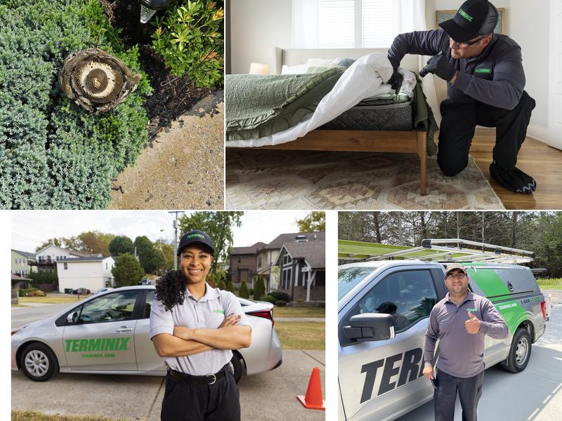 Terminix