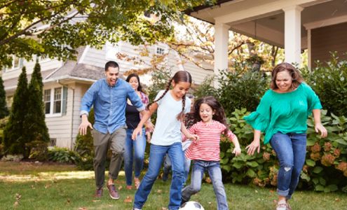 Environmental Pest Control