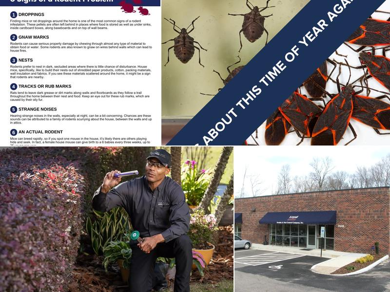 Loyal Termite & Pest Control