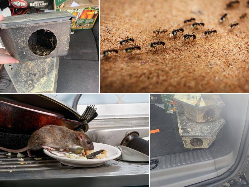 Brown Exterminating Co