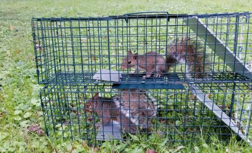 Epix Wildlife Removal 4925 Saratoga Cir, Virginia Beach Virginia 23464