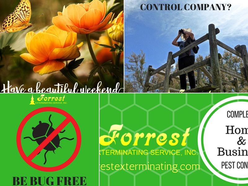 Forrest Exterminating