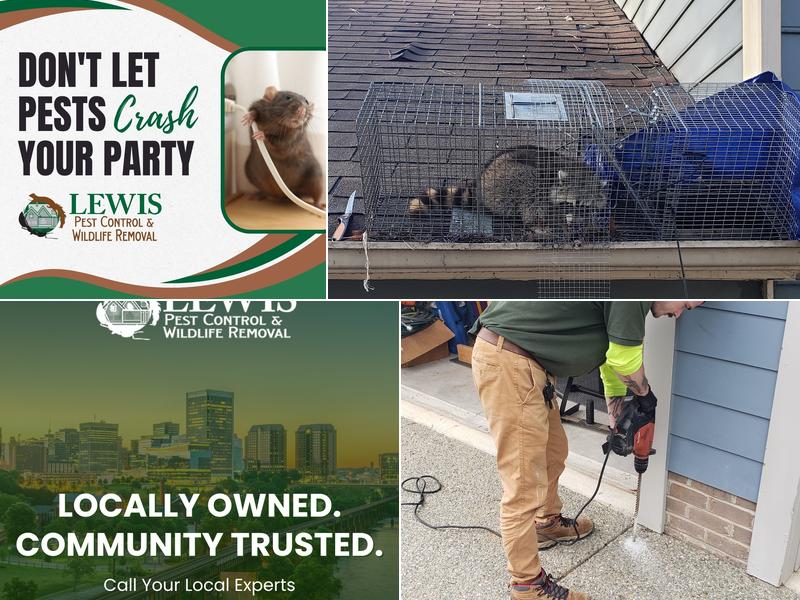 Lewis Pest Control & Wildlife Removal