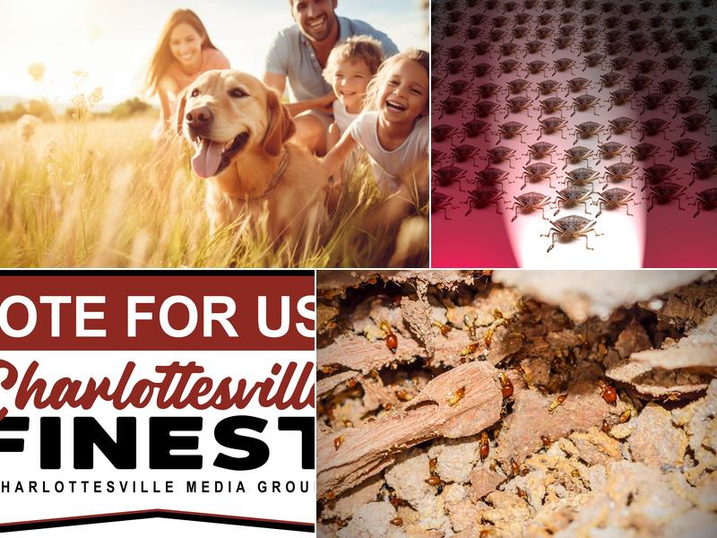 Holistic Pest Solutions