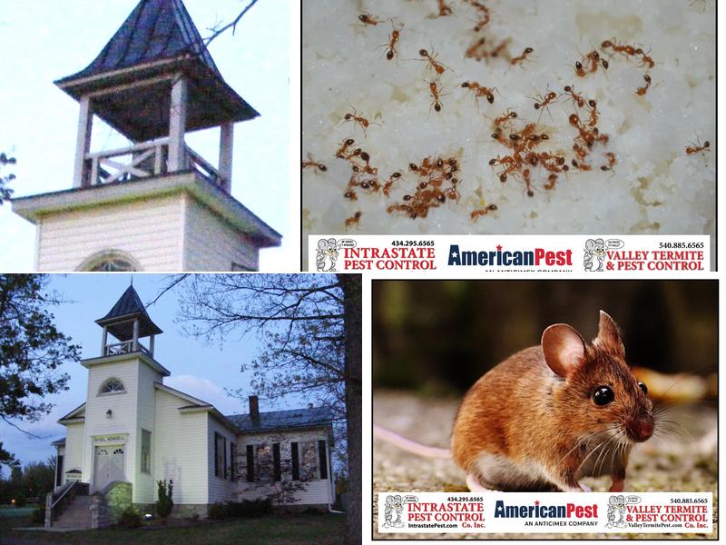 Valley Termite and Pest Control Co.