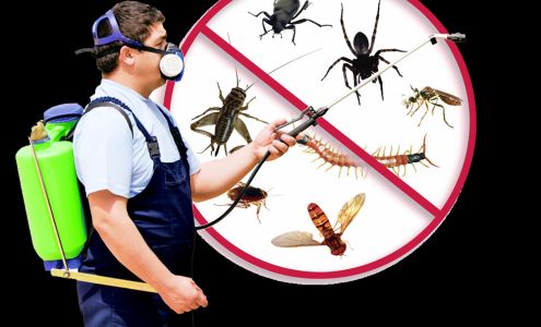 Apple Valley Lawn Care