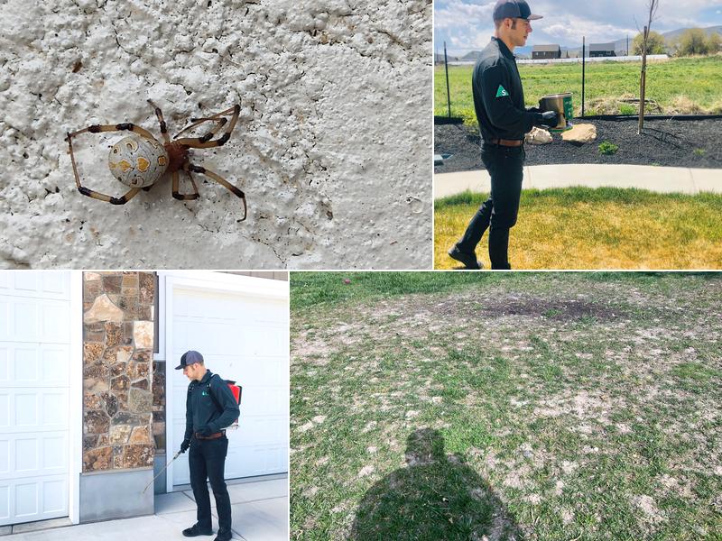 Spire Pest Control Richmond