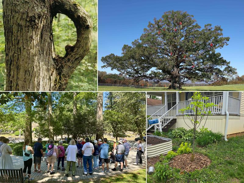 Van Yahres Tree Company