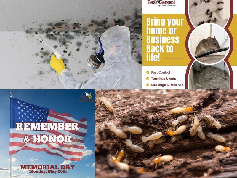AK Pest Control Central VA