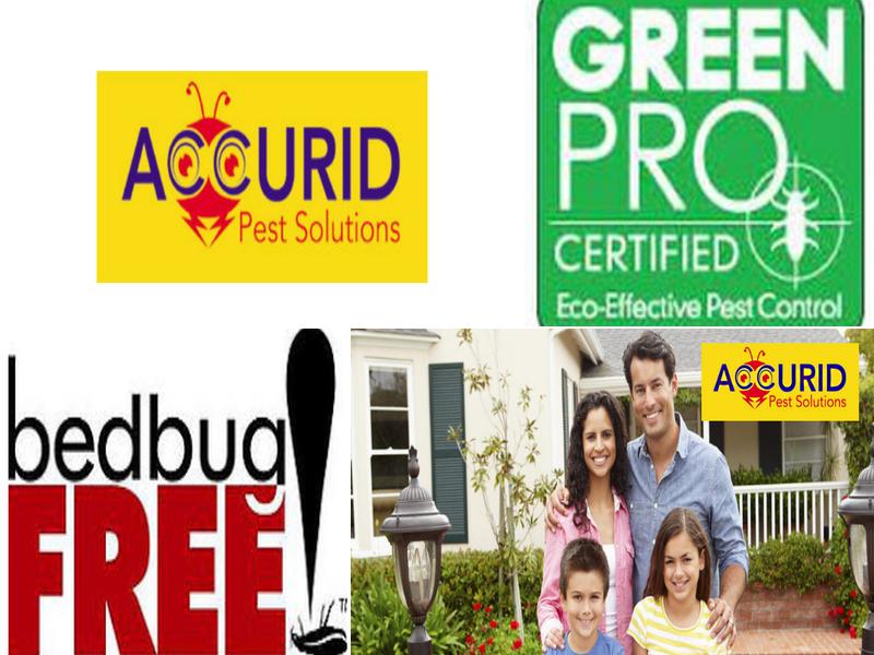 Accurid Pest Solutions Inc. - Chesapeake, VA