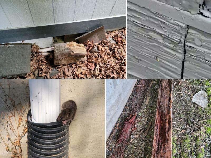 Pacific Pest Management