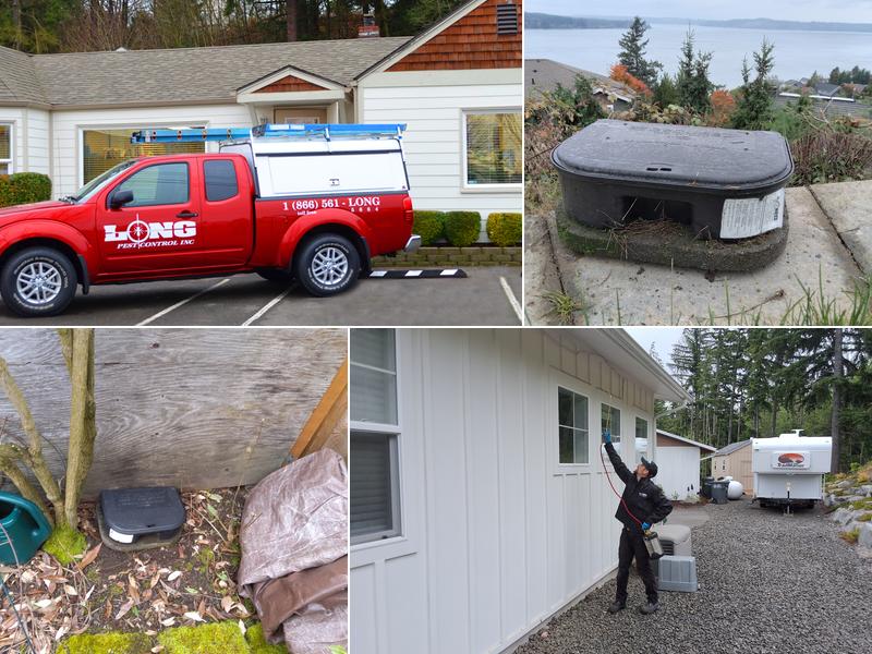 Long Pest Control