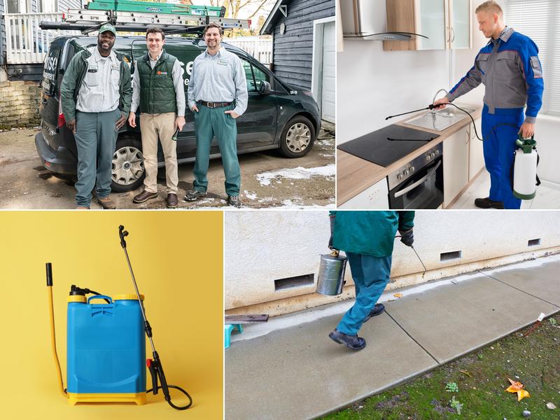 Sunrise Pest Management