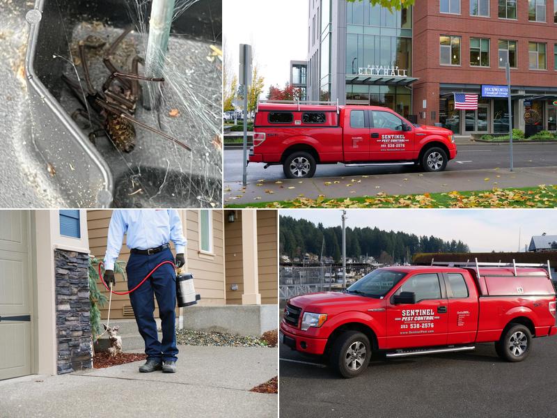 Sentinel Pest Control