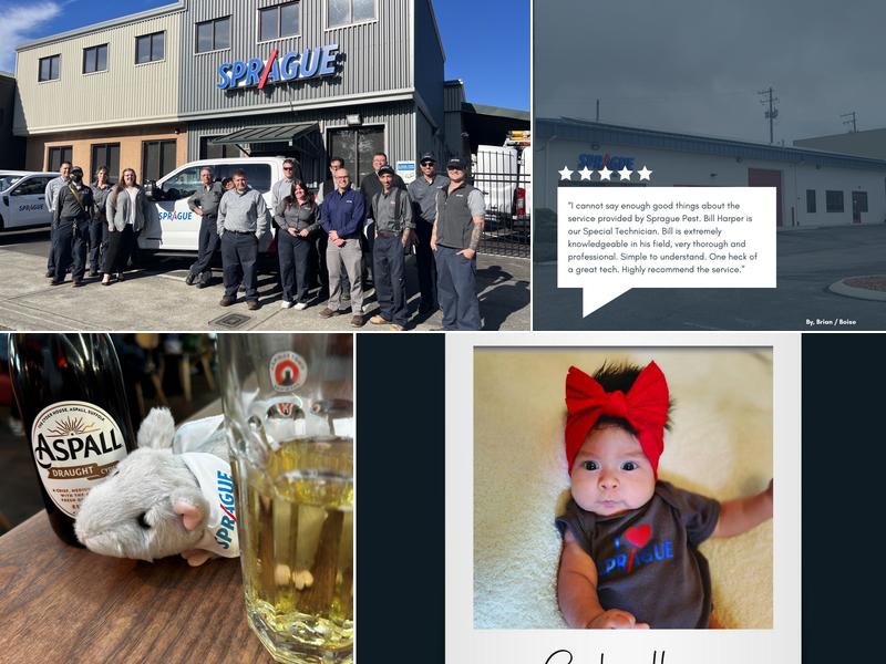 Sprague Pest Solutions