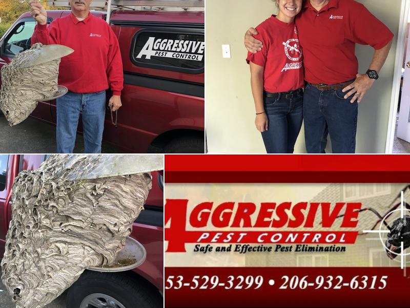 Aggressive Pest Control