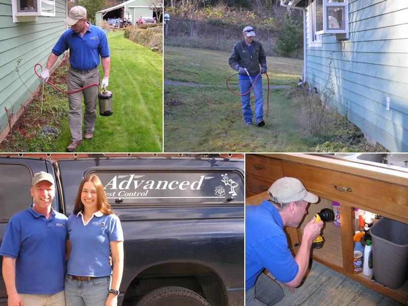 Advanced Pest Control