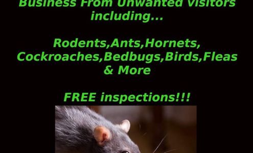 Venom Pest Control 9617 Jacobsen Ln, Gig Harbor Washington 98332