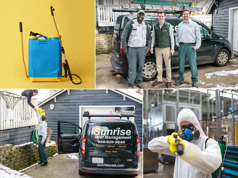 Sunrise Pest Management | Pest Control | Bellevue, WA