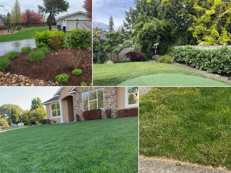 Senske Services - Tacoma