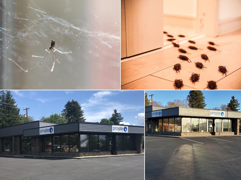 Prosite Pest Control