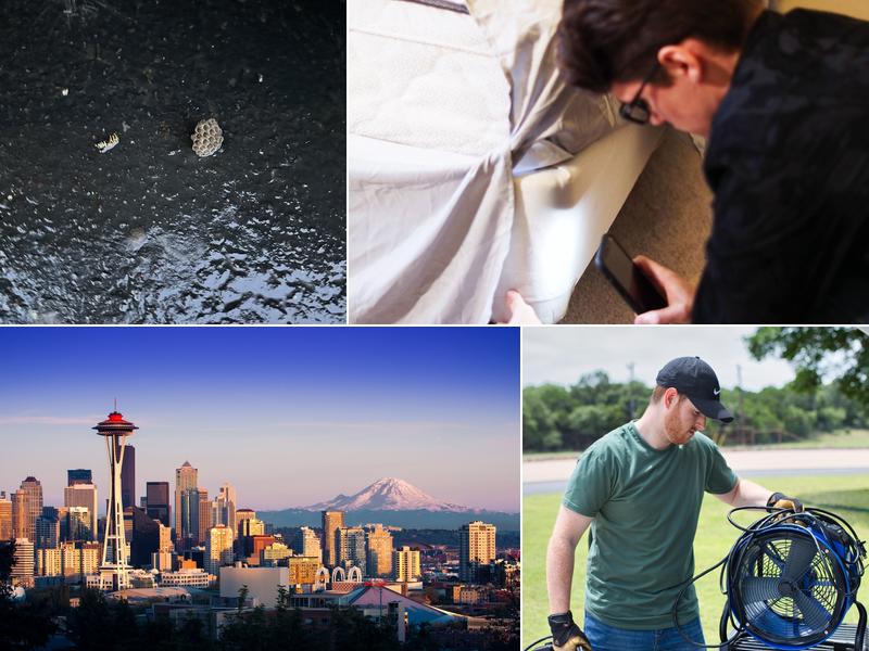 Elite Bed Bug Exterminators Seattle Washington