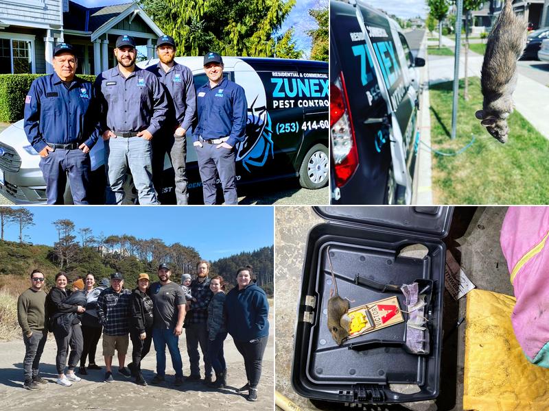 Zunex Pest Control