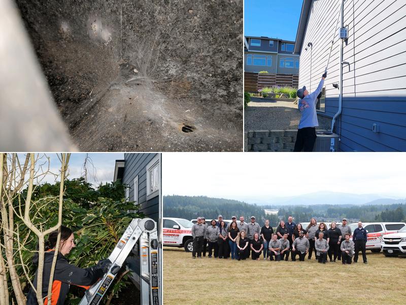 Rambo Total Pest Control