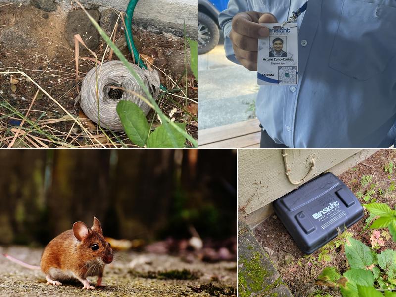 Insight Pest Solutions