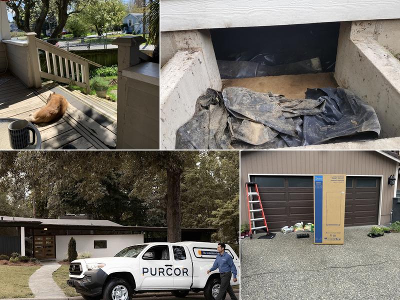 PURCOR Pest Solutions