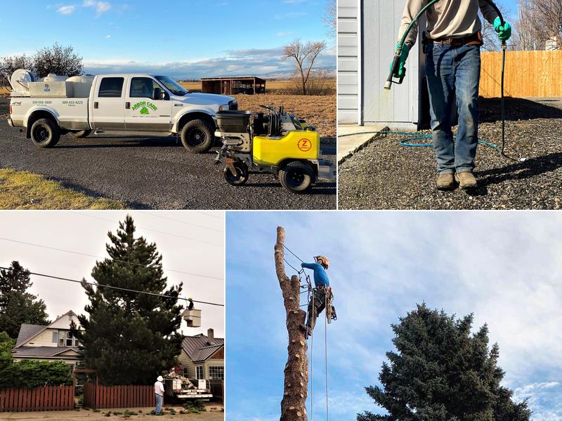 Arbor Care Lawn & Pest Control, Inc.