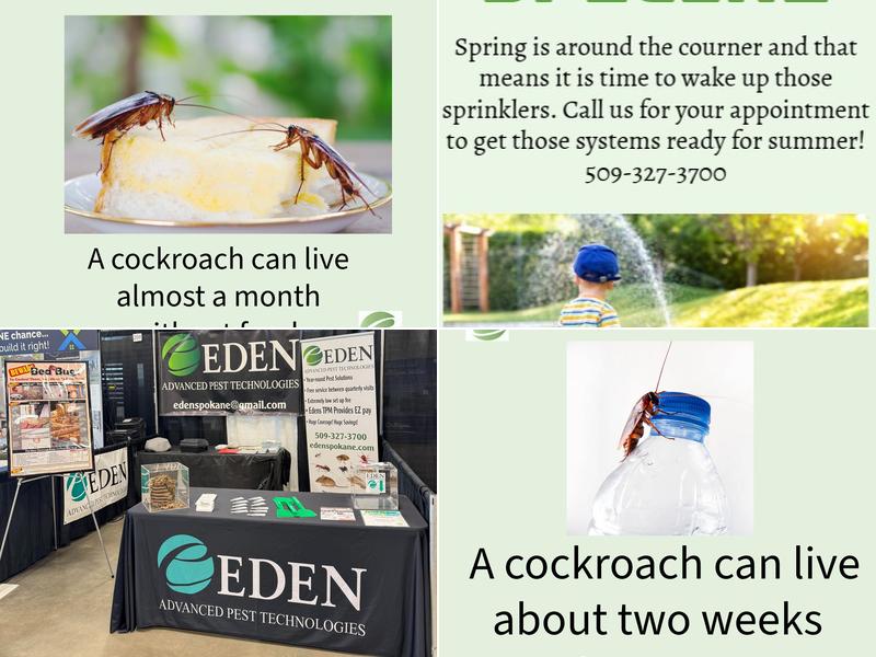 Eden Advanced Pest Technologies