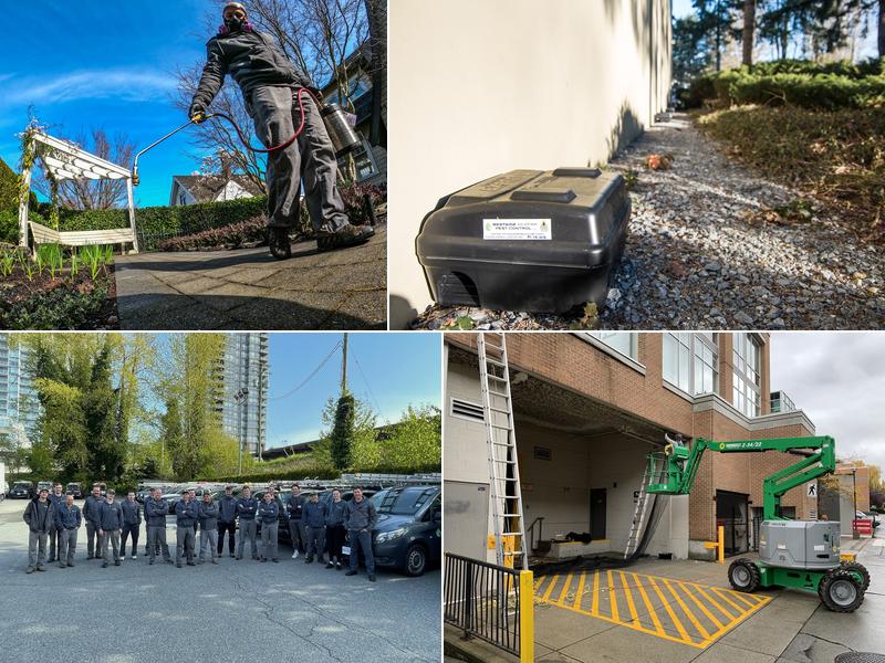 Westside Pest Control Coquitlam