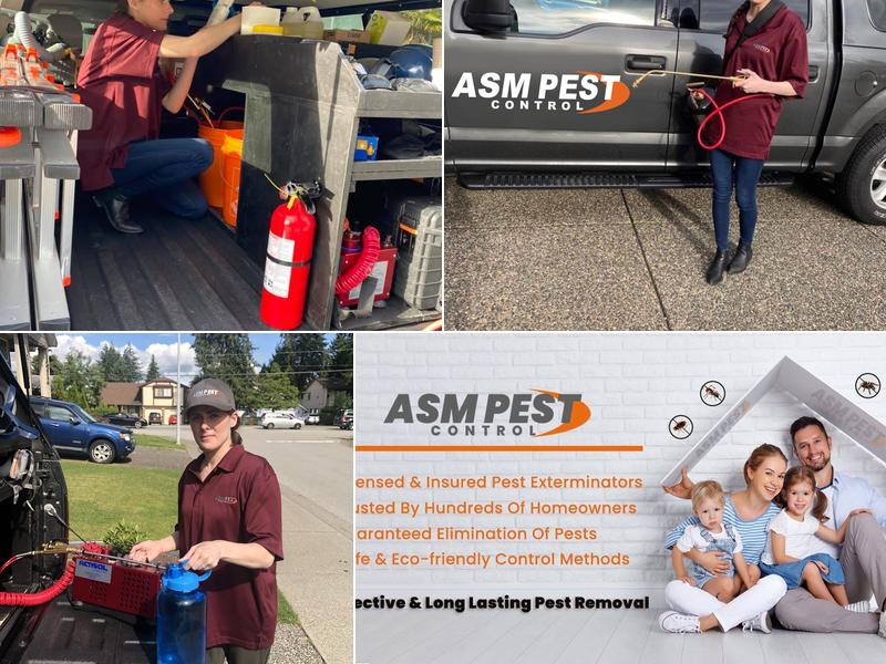 ASM Pest Control