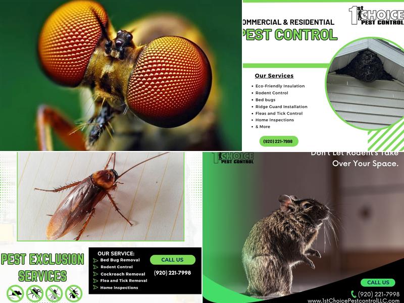 1st Choice Pest Control LLC