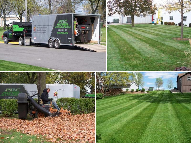 Puls Tree & Lawn Care, L.L.C.