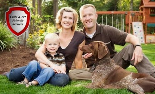 Pro Active Pest Solutions