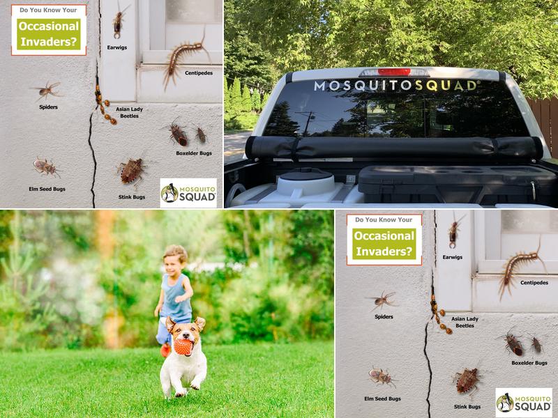 Mosquito Squad of South Central Wisconsin