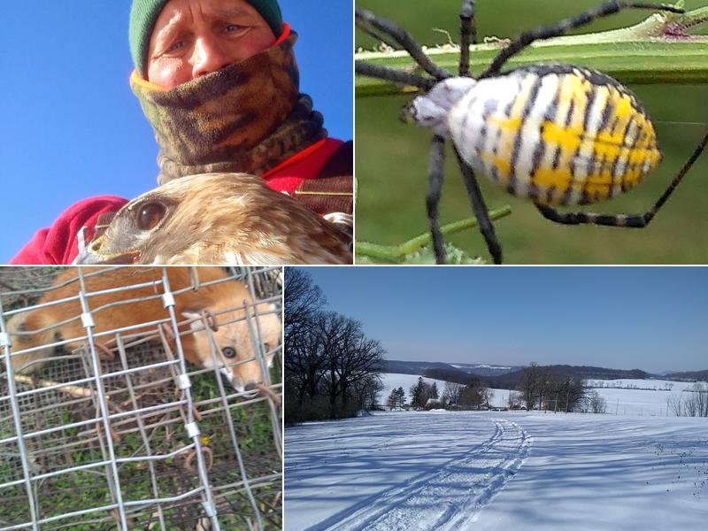 Cedar Ridge Pest Control