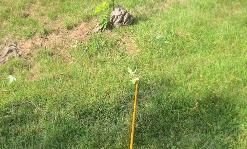 Bug Masters Pest Control