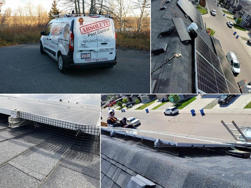 Absolute Pest Control Inc