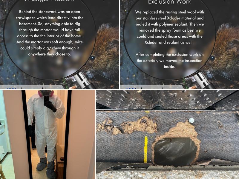 Lavellan Pest Solutions Inc.