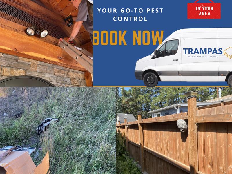 Trampas Pest Control Solutions Inc.